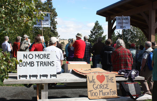 Rail project draws fire at TD hearing