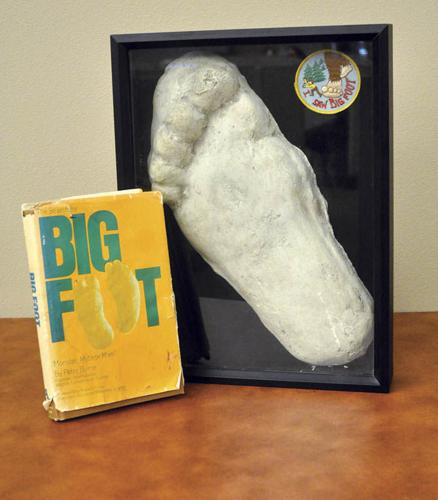 What lives in the Woods?