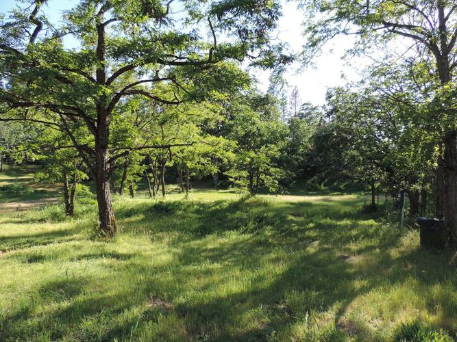 Council approves Morrison Park rezone