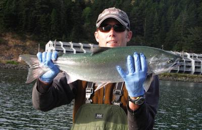 Biologists identify pot gardens as salmon threat