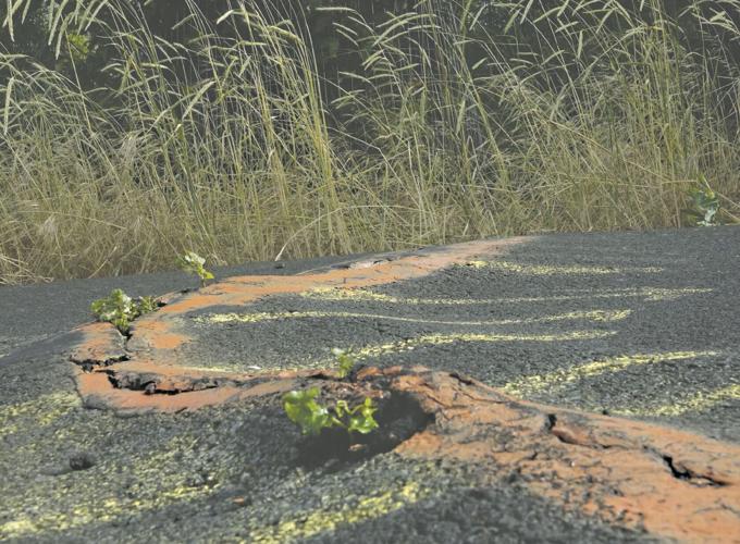 Riverfront Trail Notes #31-5.tif