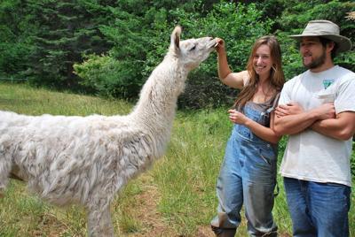 Snowden’s Stonework Farm experiments in its first year at WS Farmer’s Market