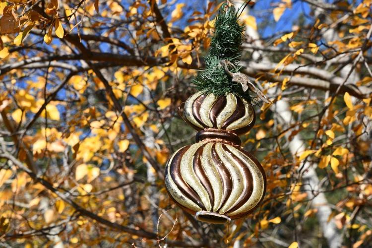 Community Partners 2023