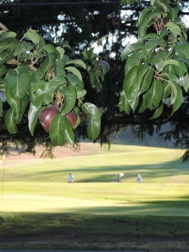 Drought: It’s official