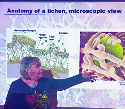 Wild about nature ONE PIC PRINT.jpg