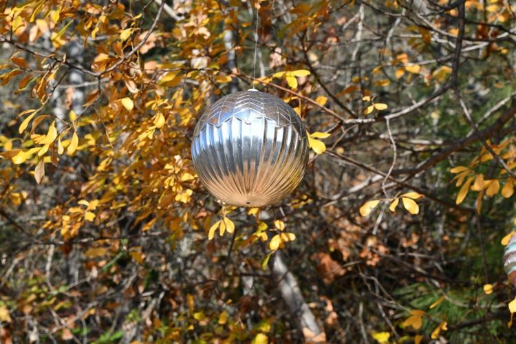 Community Partners 2023