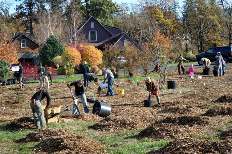 From hostile to habitat