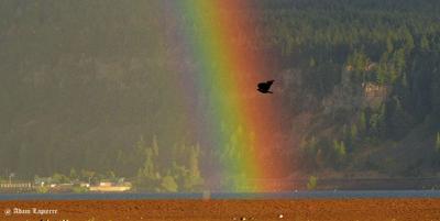 Photo of the day: Good to be an early riser