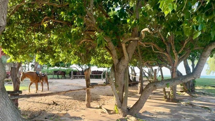 The Stables at Turtle Bay