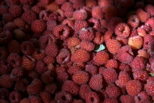 Serbia shipped 80,000 tonnes of raspberries last year