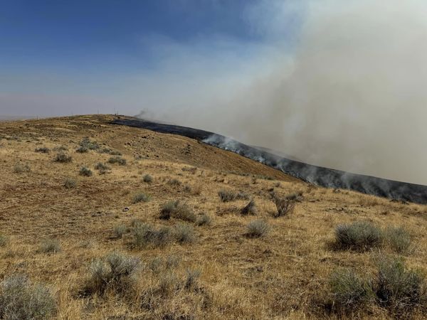 Photo courtesy Wasco County Sheriff's Office.jpg