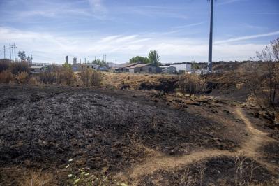 Home at Last animal shelter