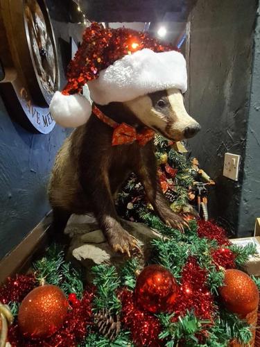 Police are investigating the theft of a stuffed badger from a Lake District bar.