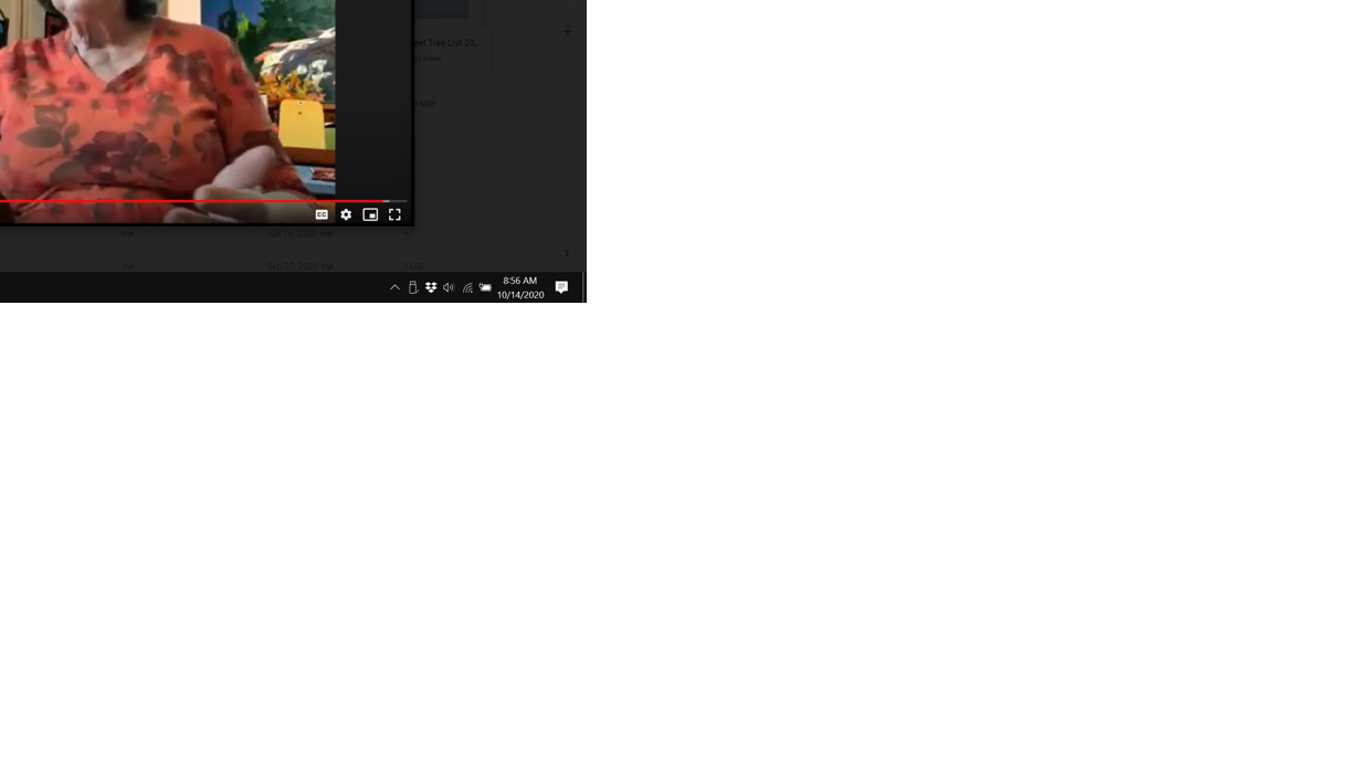 10-28 PACT Show, Happy Place Kathy.png