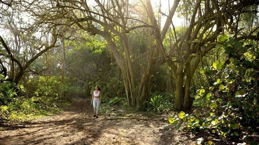 Walking Trails