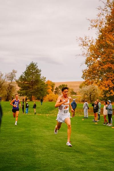TD Cross Country