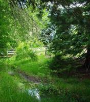 The wonder of wetlands