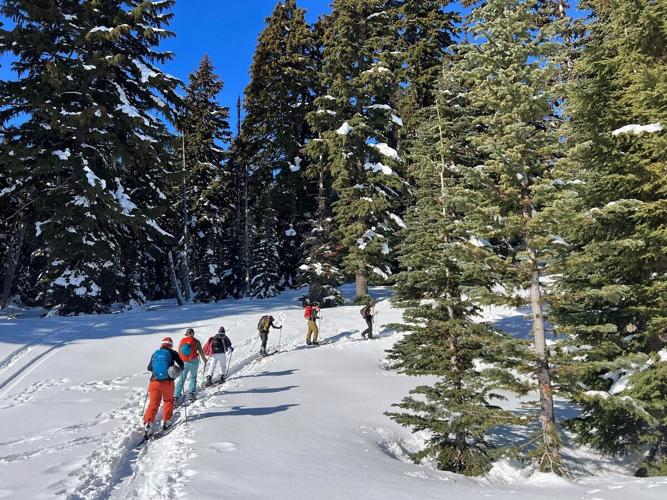 Tour through trees photo by Katie Heitkemper.jpg