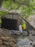Community Cleanup