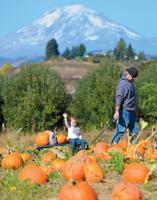 Harvest Fest celebrates nature’s bounty