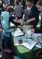 Gorge STEM Fair returns with new locations