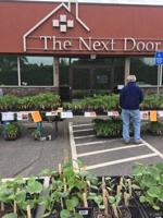 The Next Door’s Raíces Annual Plant Sale Returns May 9
