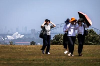 Australia is campaigning to co-host next year's UN climate summit alongside Pacific Islands neighbours