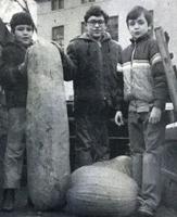 History: Yesteryears, Nov. 25 edition