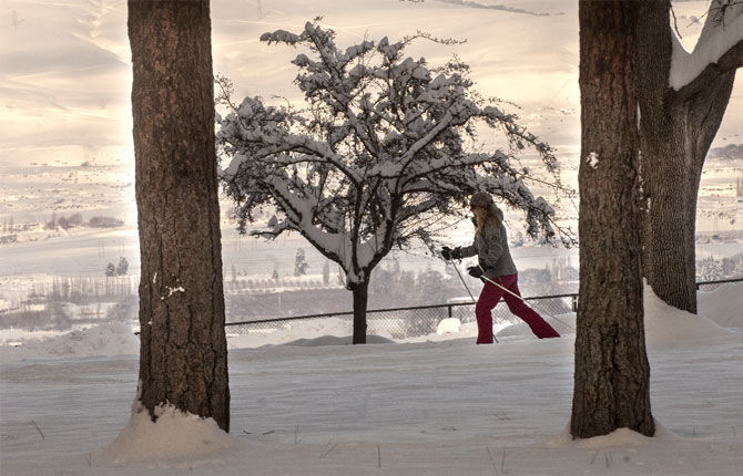 Snapshots of Winter