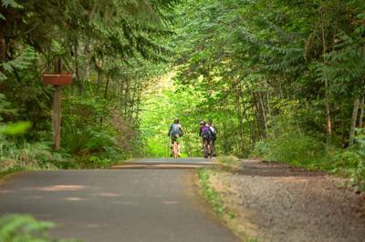 eBikes
