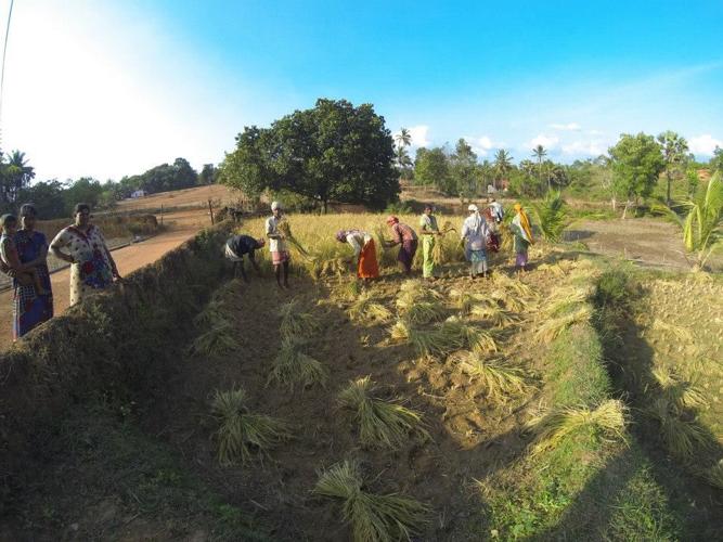 Travelogue: South India