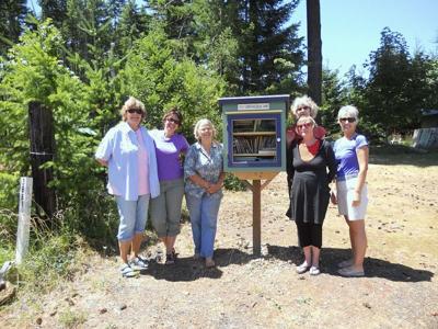 Friends of the Mill A Little Free Library