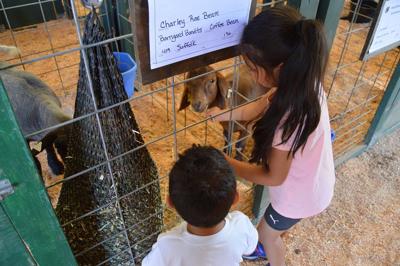 Elizabeth and Isaiah Heredia feed goats.JPG