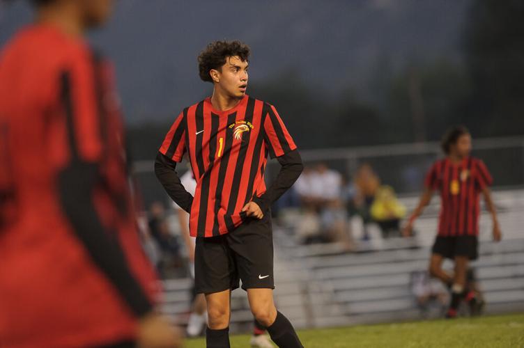 TD versus Gladstone 10-20