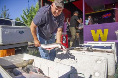 Wild Columbia Salmon sales