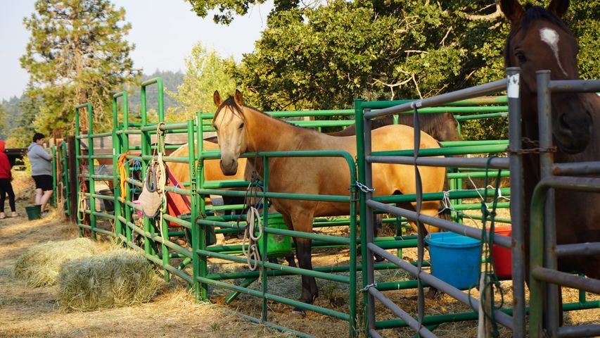 9-16 HR saddle club evac TW (3).jpg