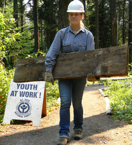 At Work in the Woods