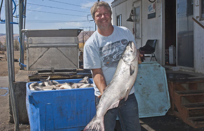 Fresh fish flow through Gilmore Fish Smokehouse