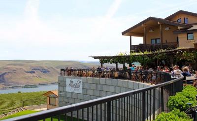 Listen to terrace music all summer long