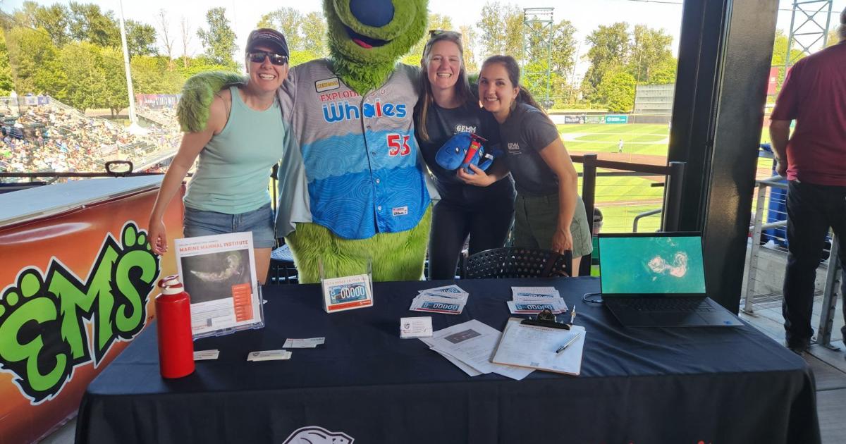 ‘Exploding Whales’ partnership with Eugene baseball team benefits OSU’s ...