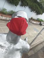 Free N95 and cloth masks for small businesses; first come first serve