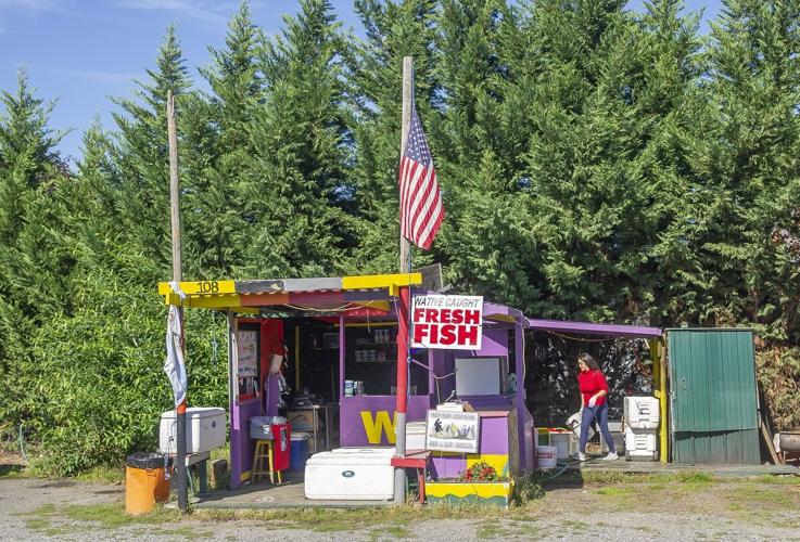 Wild Columbia Salmon sales