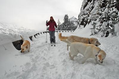 Kaleidoscope: Images from last week’s winter wonderland