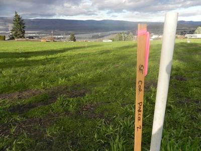 New development proposed