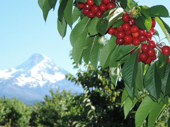 Nothin' to do? Every day, we’ve got you covered this summer