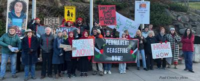 HR council to consider Gaza ceasefire