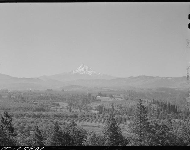Hutson Museum history