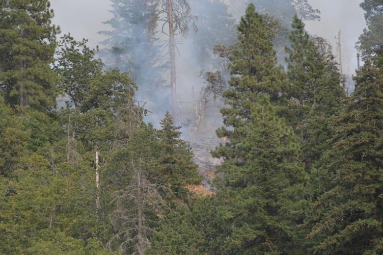 Old Dalles Fire smoke and a few flames.JPG