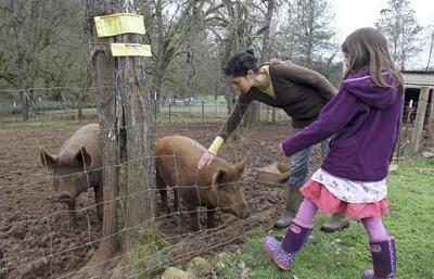Historic farm teaches visitors agriculture