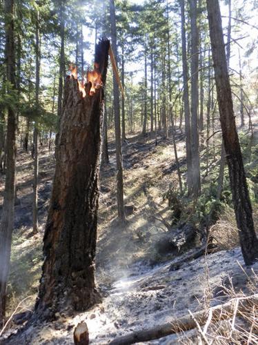 Fire lingers in Blackburn Fire, despite 90 percent containment